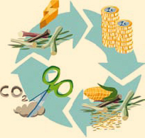 reciclajeForestal